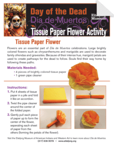 Tissue Paper Flower Activity