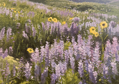Mountainside of Lupines