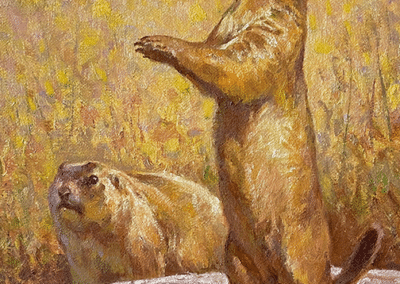 Prairie Dogs