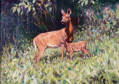 Summer Doe and Fawn