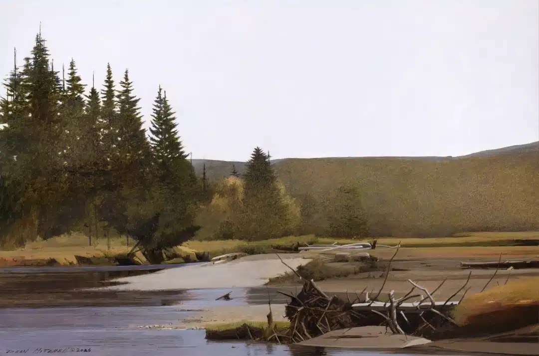 Quiet Waters